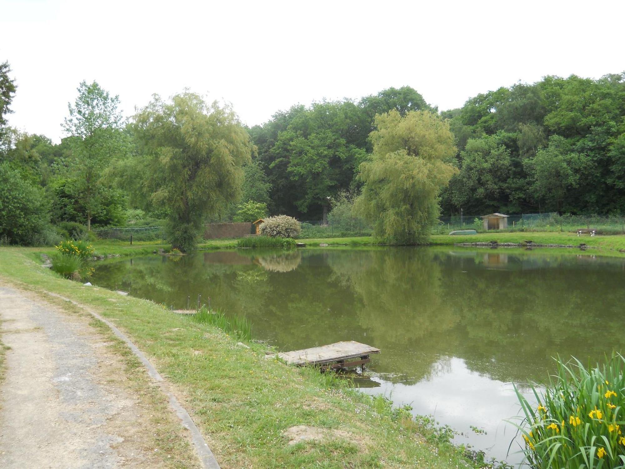Le Relais De La Haute Sambre Lobbes Exterior photo